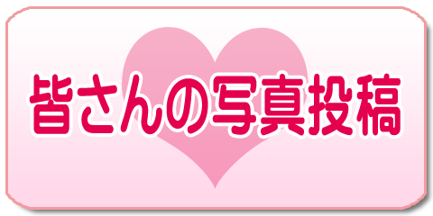 �F����̎ʐ^���e