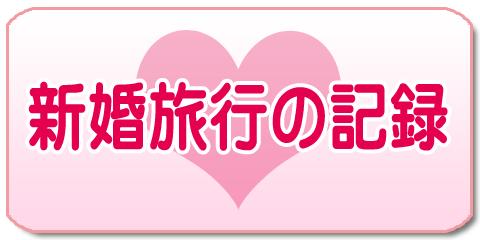 �V�����s�̋L�^