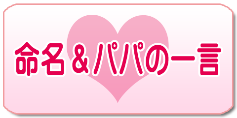 �������p�p�̈ꌾ